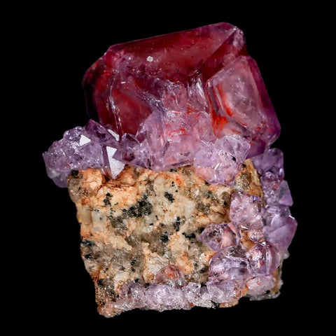 2.4" Stunning Purple Alum Crystal Mineral Specimen Sokolowski Location Poland - Fossil Age Minerals