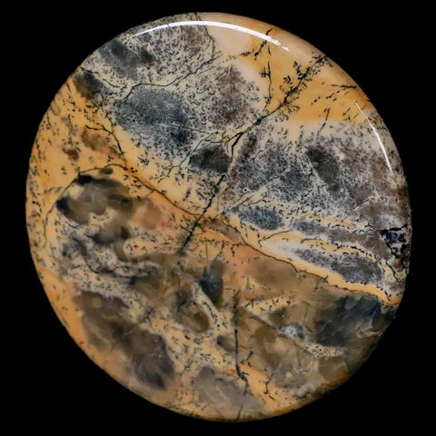 61MM Chinese Picture Jasper Mineral Specimen Round Polished Slab Liaoning, China - Fossil Age Minerals
