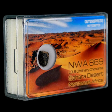 NWA 869 Meteorite Sahara Desert Northwest Africa Display L3-6 Chondrite 1.23 Grams - Fossil Age Minerals