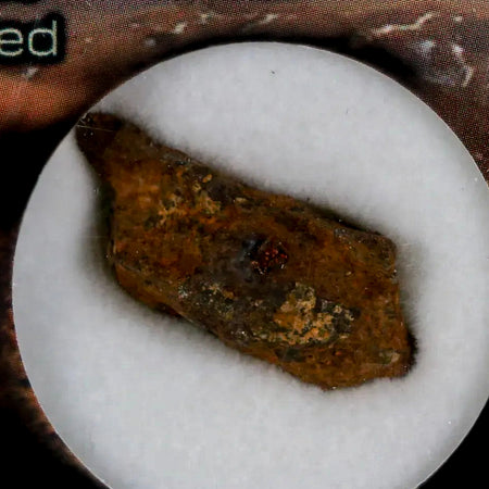 Agoudal (Imichil) Iron Meteorite Specimen Discovered In 2000 Display 7.08 Grams