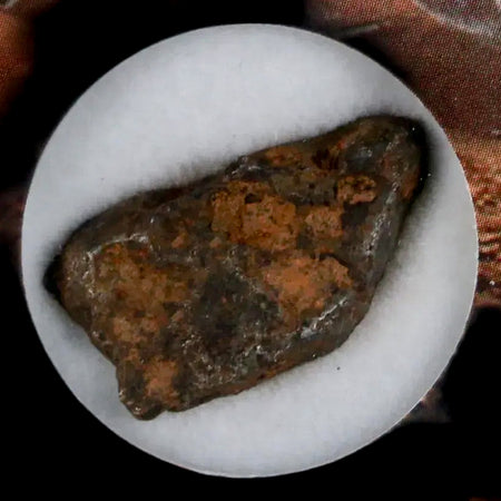 Agoudal (Imichil) Iron Meteorite Specimen Discovered In 2000 Display 5.38 Grams