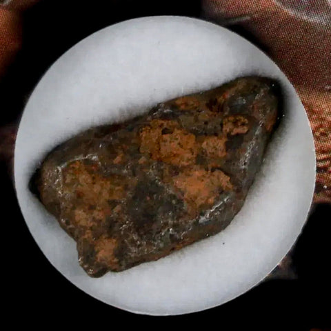 Agoudal (Imichil) Iron Meteorite Specimen Discovered In 2000 Display 5.38 Grams - Fossil Age Minerals