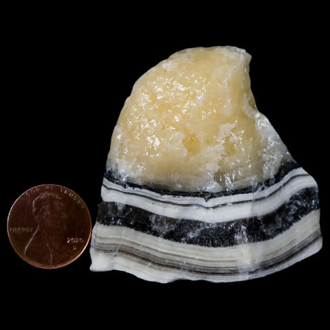 2.1" Natural Rough Zebra Calcite Crystal Mineral Specimen Nuevo Leon Mexico - Fossil Age Minerals