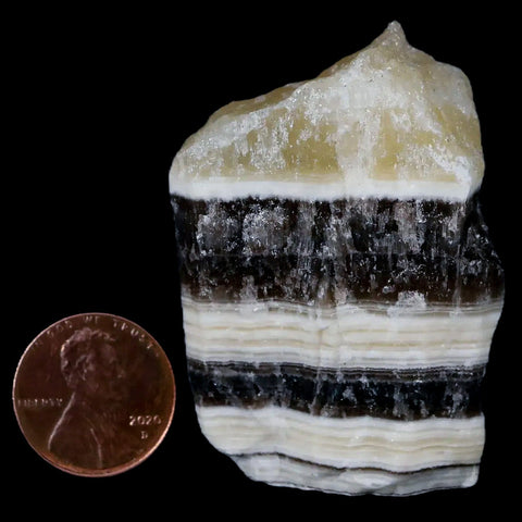 2" Natural Rough Zebra Calcite Crystal Mineral Specimen Nuevo Leon Mexico - Fossil Age Minerals