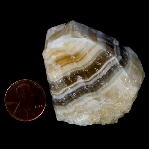 1.8" Natural Rough Zebra Calcite Crystal Mineral Specimen Nuevo Leon Mexico - Fossil Age Minerals