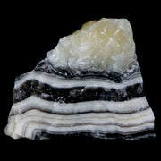 2.4" Natural Rough Zebra Calcite Crystal Mineral Specimen Nuevo Leon Mexico