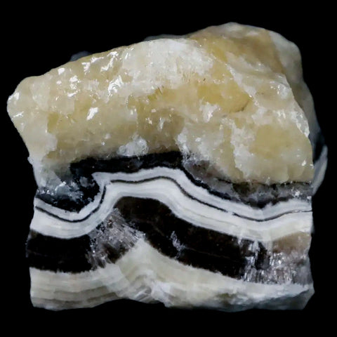 1.6" Natural Rough Zebra Calcite Crystal Mineral Specimen Nuevo Leon Mexico - Fossil Age Minerals