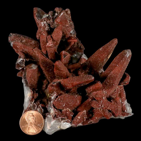 4.5" Natural Red Ferruginous Quartz Crystal Cluster Mineral Specimen Meknes Morocco - Fossil Age Minerals