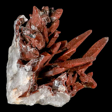 4.5" Natural Red Ferruginous Quartz Crystal Cluster Mineral Specimen Meknes Morocco - Fossil Age Minerals