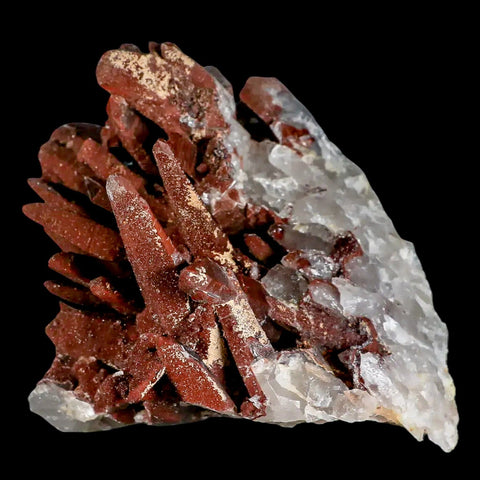 4.5" Natural Red Ferruginous Quartz Crystal Cluster Mineral Specimen Meknes Morocco - Fossil Age Minerals