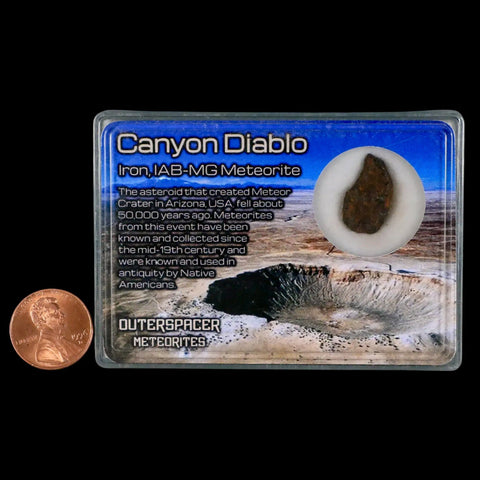 Canyon Diablo Arizona Meteorite Specimen Iron-Nickel Meteorites 3.76 Grams Display - Fossil Age Minerals