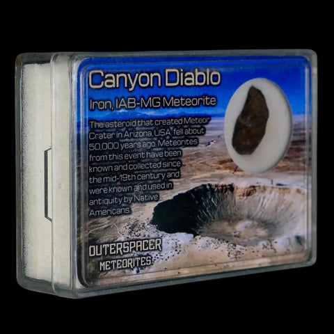 Canyon Diablo Arizona Meteorite Specimen Iron-Nickel Meteorites 3.76 Grams Display - Fossil Age Minerals