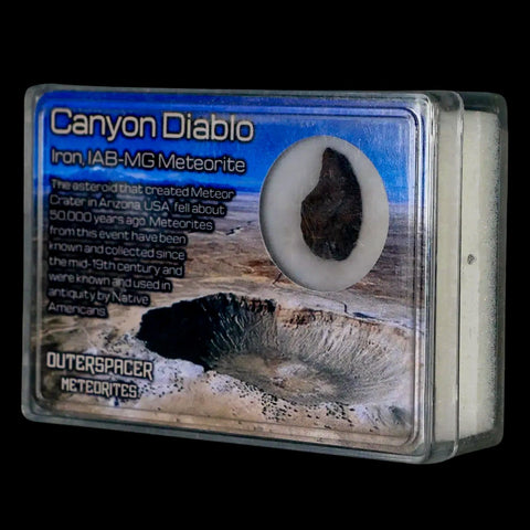 Canyon Diablo Arizona Meteorite Specimen Iron-Nickel Meteorites 3.76 Grams Display - Fossil Age Minerals