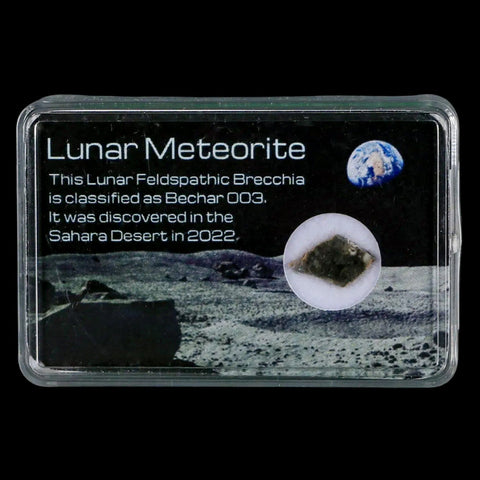 Moon Rock Lunar Meteorite Bechar 003 Algerian Sahara Desert Discovered 2022 - Fossil Age Minerals