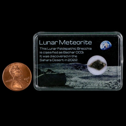 Moon Rock Lunar Meteorite Bechar 003 Algerian Sahara Desert Discovered 2022 - Fossil Age Minerals