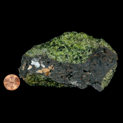 XL 4.5" Natural Emerald Peridot Crystal Minerals On Volcanic Rock Gila, Arizona - Fossil Age Minerals