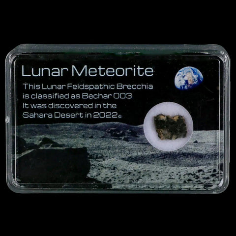 Moon Rock Lunar Meteorite Bechar 003 Algerian Sahara Desert Discovered 2022 - Fossil Age Minerals