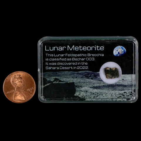 Moon Rock Lunar Meteorite Bechar 003 Algerian Sahara Desert Discovered 2022 - Fossil Age Minerals