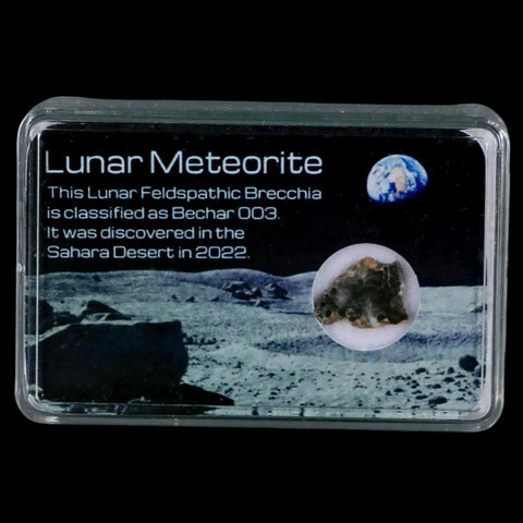 Moon Rock Lunar Meteorite Bechar 003 Algerian Sahara Desert Discovered 2022 - Fossil Age Minerals