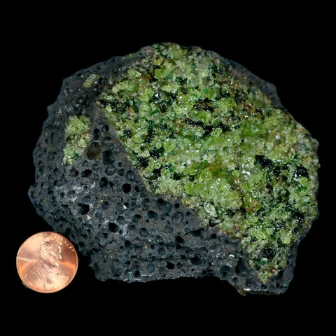 XL 3.5" Natural Emerald Peridot Crystal Minerals On Volcanic Rock Gila, Arizona - Fossil Age Minerals