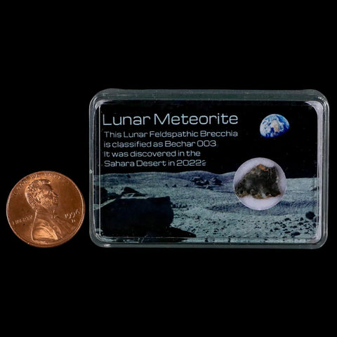 Moon Rock Lunar Meteorite Bechar 003 Algerian Sahara Desert Discovered 2022 - Fossil Age Minerals