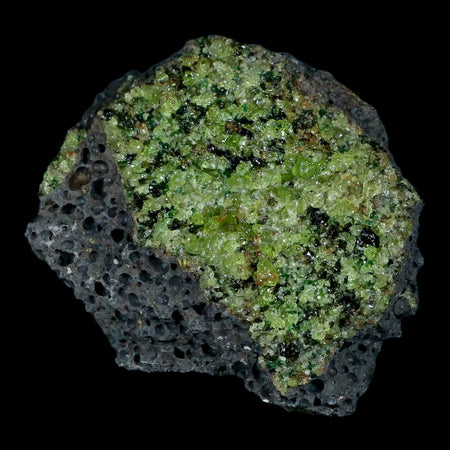 XL 3.5" Natural Emerald Peridot Crystal Minerals On Volcanic Rock Gila, Arizona