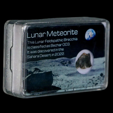 Moon Rock Lunar Meteorite Bechar 003 Algerian Sahara Desert Discovered 2022 - Fossil Age Minerals