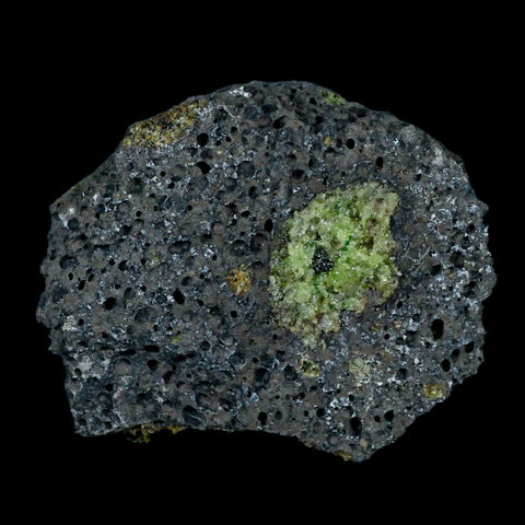 XL 3.5" Natural Emerald Peridot Crystal Minerals On Volcanic Rock Gila, Arizona - Fossil Age Minerals