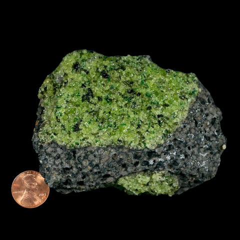 XL 3.8" Natural Emerald Peridot Crystal Minerals On Volcanic Rock Gila, Arizona - Fossil Age Minerals