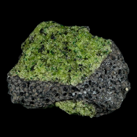 XL 3.8" Natural Emerald Peridot Crystal Minerals On Volcanic Rock Gila, Arizona - Fossil Age Minerals