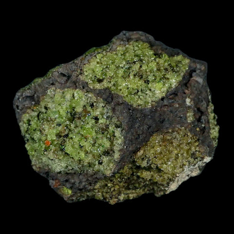 XL 3.5" Natural Emerald Peridot Crystal Minerals On Volcanic Rock Gila, Arizona - Fossil Age Minerals