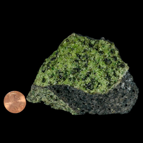 XL 3.5" Natural Emerald Peridot Crystal Minerals On Volcanic Rock Gila, Arizona - Fossil Age Minerals