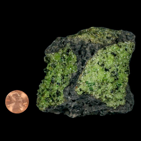 XL 3.8" Natural Emerald Peridot Crystal Minerals On Volcanic Rock Gila, Arizona - Fossil Age Minerals