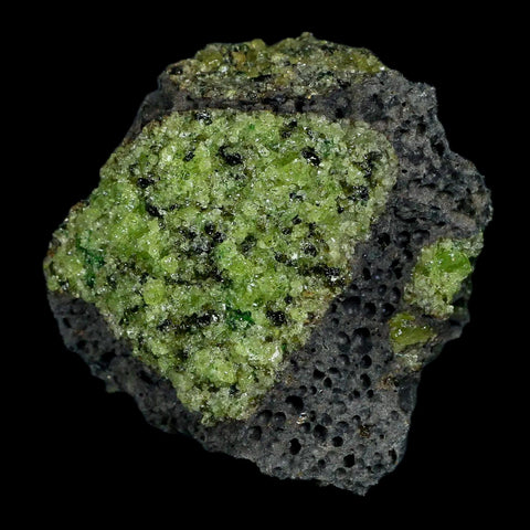 XL 3.8" Natural Emerald Peridot Crystal Minerals On Volcanic Rock Gila, Arizona - Fossil Age Minerals