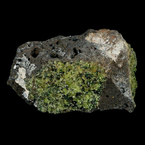 XL 4.6" Natural Emerald Peridot Crystal Minerals On Volcanic Rock Gila, Arizona - Fossil Age Minerals