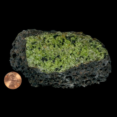 XL 4.3" Natural Emerald Peridot Crystal Minerals On Volcanic Rock Gila, Arizona - Fossil Age Minerals