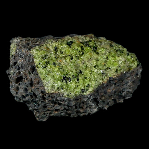 XL 4.3" Natural Emerald Peridot Crystal Minerals On Volcanic Rock Gila, Arizona - Fossil Age Minerals