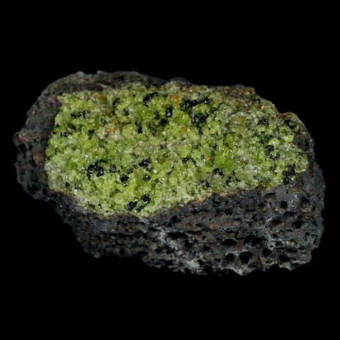 XL 4.3" Natural Emerald Peridot Crystal Minerals On Volcanic Rock Gila, Arizona - Fossil Age Minerals