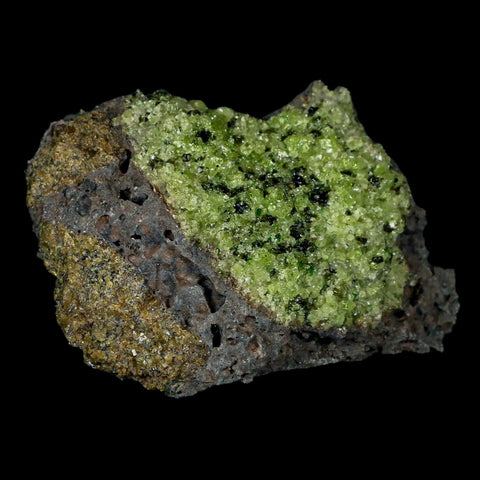 XL 4" Natural Emerald Peridot Crystal Minerals On Volcanic Rock Gila, Arizona - Fossil Age Minerals