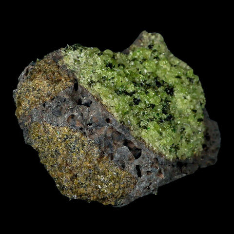 XL 4" Natural Emerald Peridot Crystal Minerals On Volcanic Rock Gila, Arizona - Fossil Age Minerals