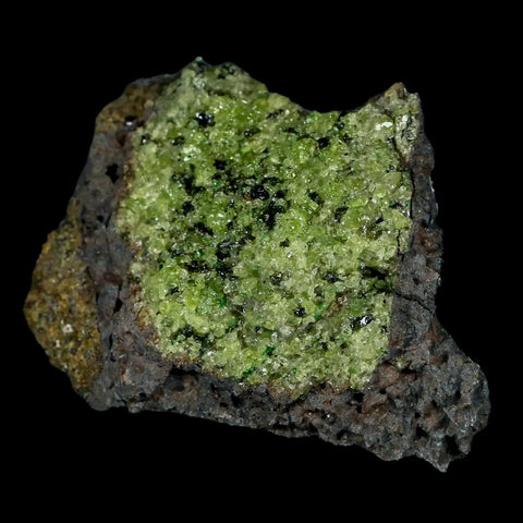 XL 4" Natural Emerald Peridot Crystal Minerals On Volcanic Rock Gila, Arizona - Fossil Age Minerals