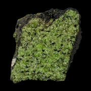 XL 3.2" Natural Emerald Peridot Crystal Minerals On Volcanic Rock Gila, Arizona