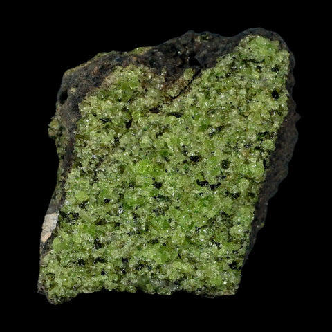 XL 3.2" Natural Emerald Peridot Crystal Minerals On Volcanic Rock Gila, Arizona - Fossil Age Minerals