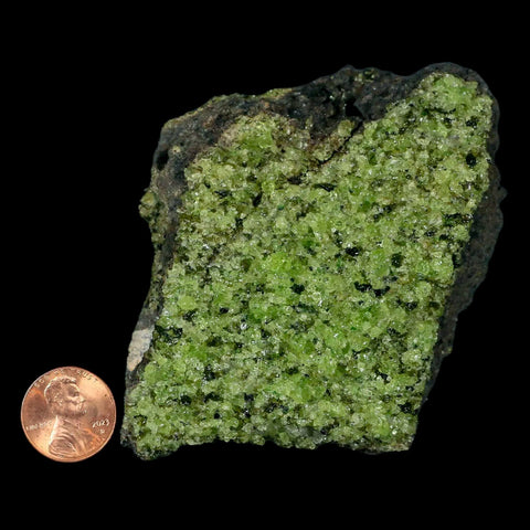 XL 3.2" Natural Emerald Peridot Crystal Minerals On Volcanic Rock Gila, Arizona - Fossil Age Minerals