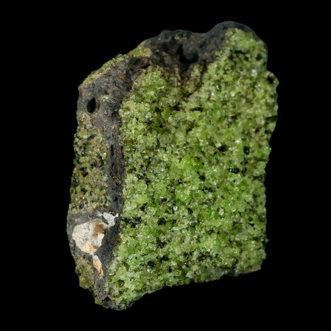 XL 3.2" Natural Emerald Peridot Crystal Minerals On Volcanic Rock Gila, Arizona - Fossil Age Minerals