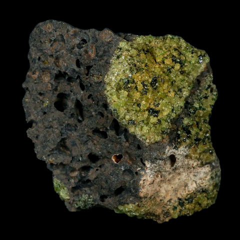 XL 3.2" Natural Emerald Peridot Crystal Minerals On Volcanic Rock Gila, Arizona - Fossil Age Minerals