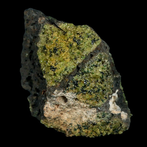 XL 3.2" Natural Emerald Peridot Crystal Minerals On Volcanic Rock Gila, Arizona - Fossil Age Minerals