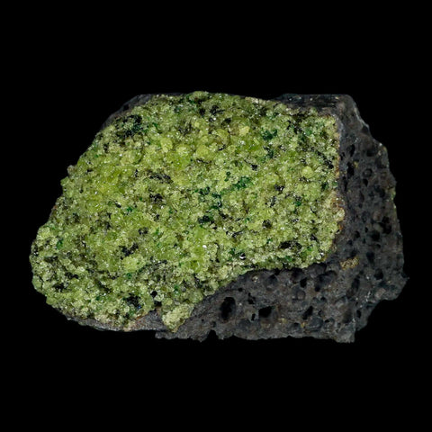 XL 4.1" Natural Emerald Peridot Crystal Minerals On Volcanic Rock Gila, Arizona - Fossil Age Minerals