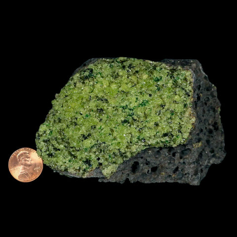 XL 4.1" Natural Emerald Peridot Crystal Minerals On Volcanic Rock Gila, Arizona - Fossil Age Minerals