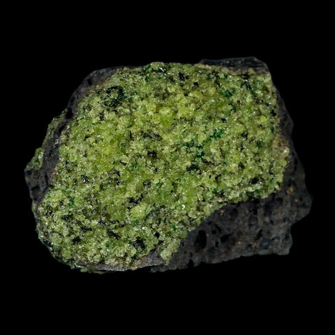 XL 4.1" Natural Emerald Peridot Crystal Minerals On Volcanic Rock Gila, Arizona - Fossil Age Minerals